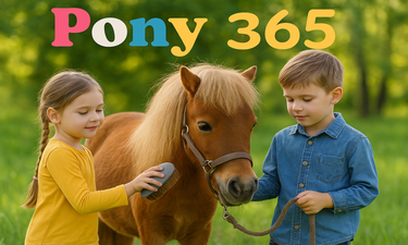 Pony365.com - Creative brandable domain for sale